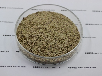 百喜草草籽多少錢一斤，一畝地需要多少？