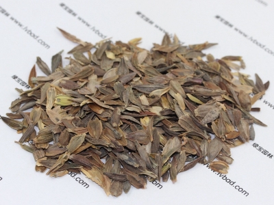 百日草種子價(jià)格_圖片_種植方法