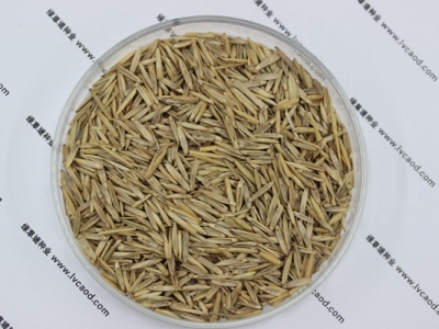 冰草草籽種子多少錢1斤？