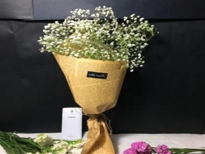 情人草也被稱之為跳舞草，適合做成盆栽或裝飾，你了解情人草嗎？