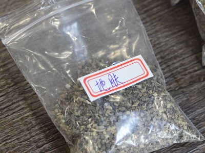 地膚種子應(yīng)該在什么時(shí)候種植？
