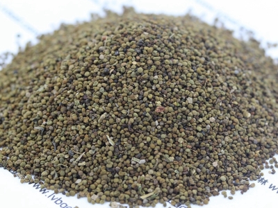 半枝蓮種子種植時(shí)間是什么時(shí)候？