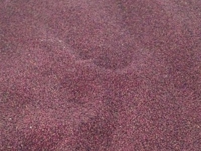 蛇莓種子播種方法？