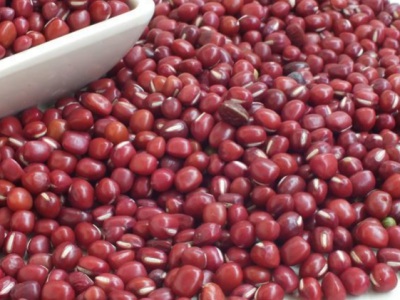 紅豆種子什么時候種怎樣種？