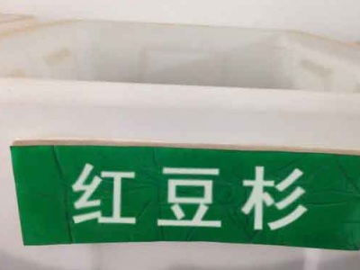 紅豆杉種子幾月份播種最好？