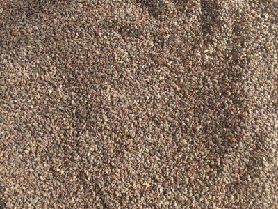 杜梨種子一斤有多少粒？