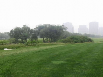 高羊茅種子播種的時間是幾月？