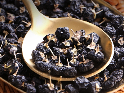 黑枸杞種子多長時(shí)間發(fā)芽