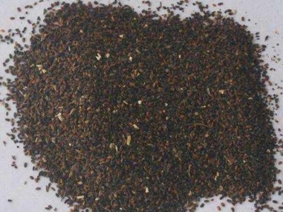 藿香種子什么時(shí)候播種