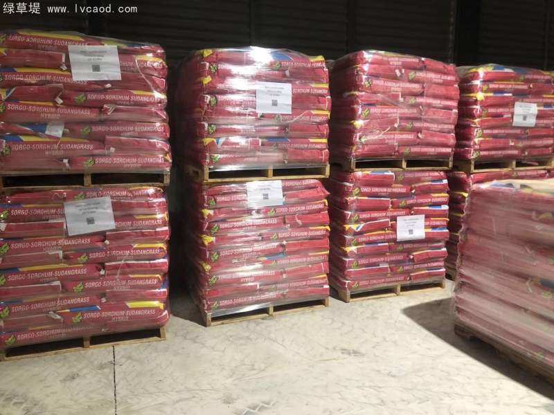 高丹草種子包裝