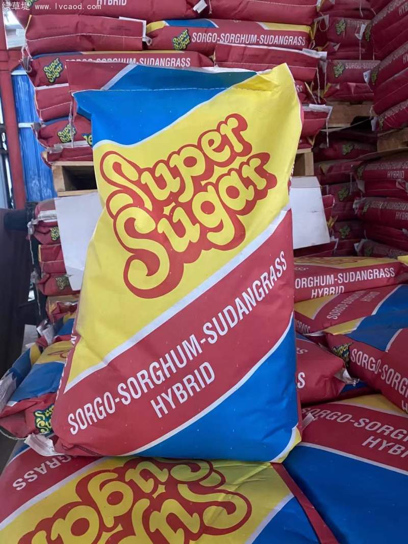 高丹草種子包裝