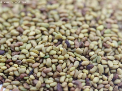 草本植物草花牧草