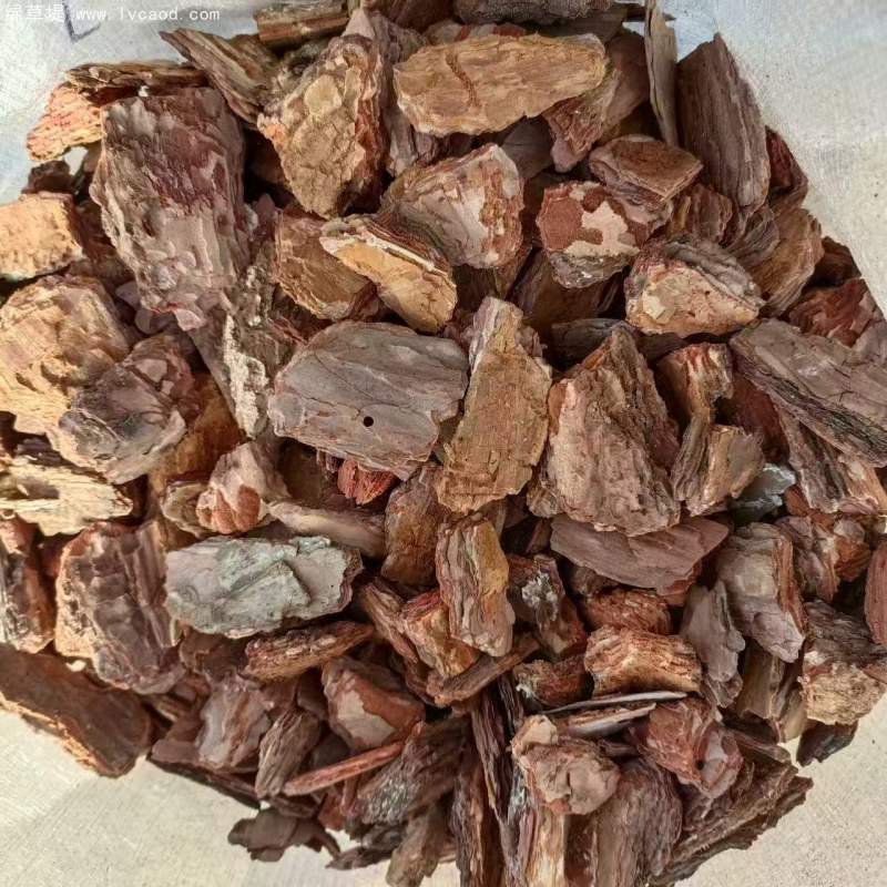 松鱗松樹(shù)皮有機(jī)覆蓋物