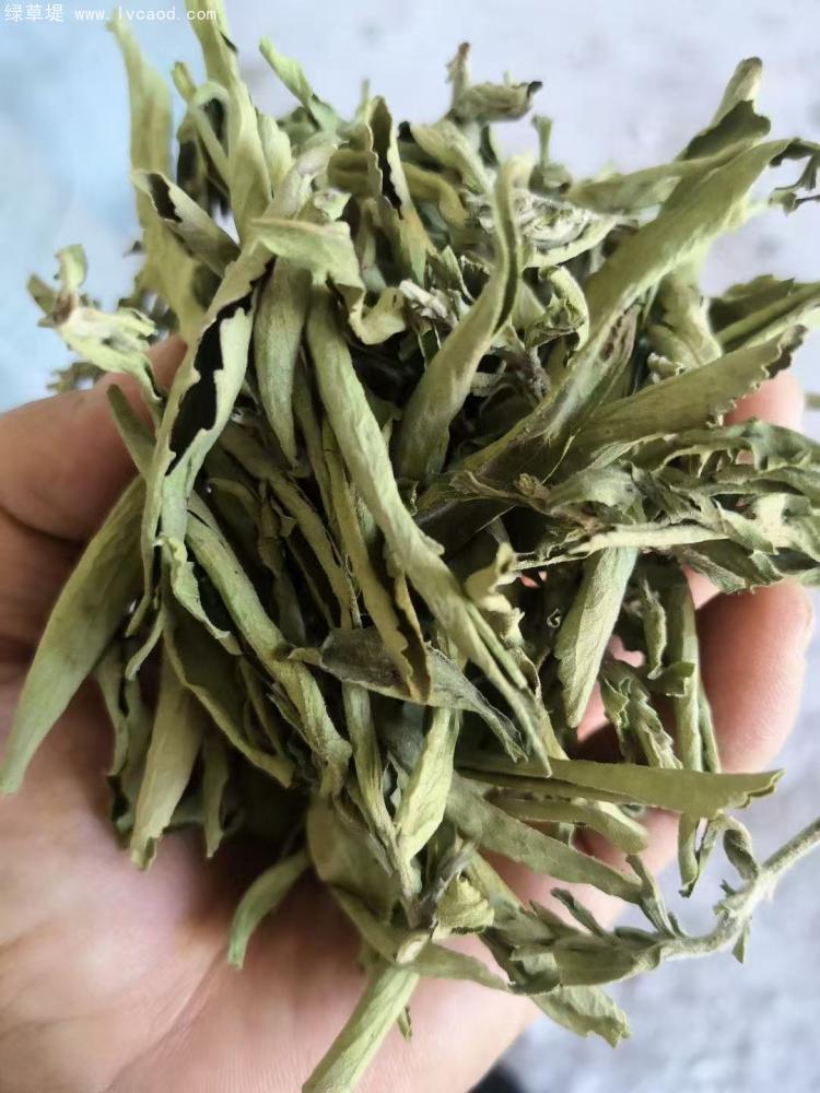 甜葉菊制干葉片